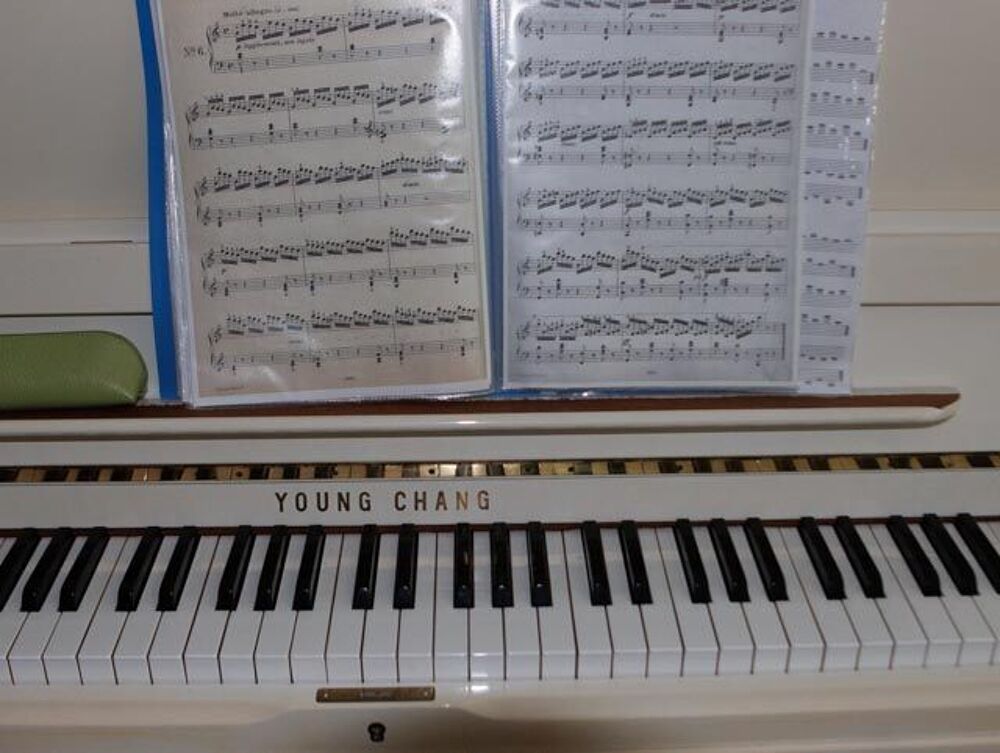 Piano Youg Chang blanc Meubles
