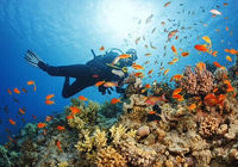   BAPTEME PLONGEE SOUS MARINE 
