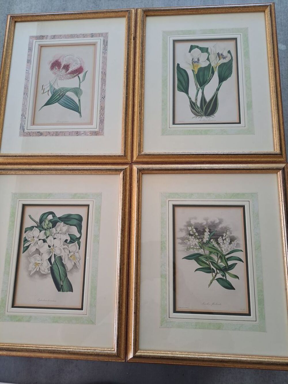 Litho Fleurs Décoration