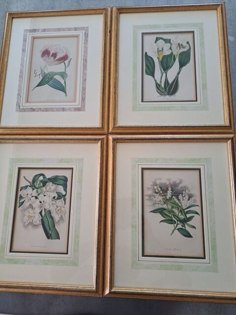 Litho Fleurs 200 St Aygulf (83)