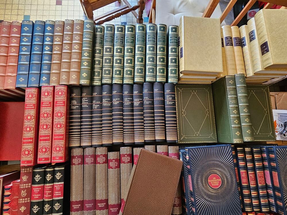 gros lot de livre de bibliotheque a saisir Livres et BD