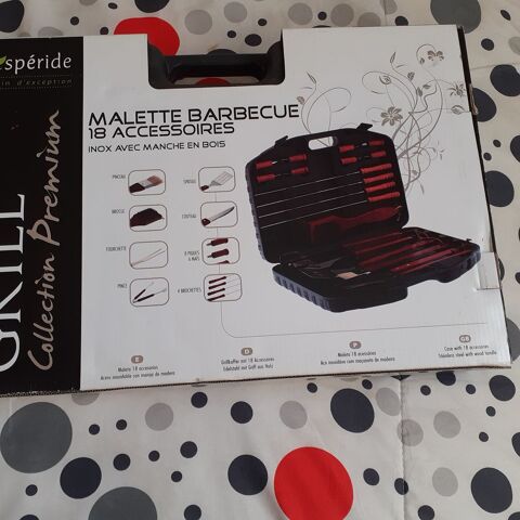 Malette barbecue 40 Redessan (30)