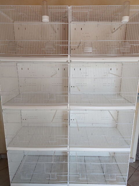 Cage reproduction 300 53600 Voutr