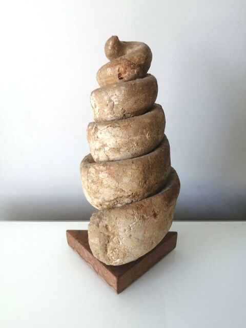 C�rithe g�ante, fossile d'escargot de mer 370 Puteaux (92)