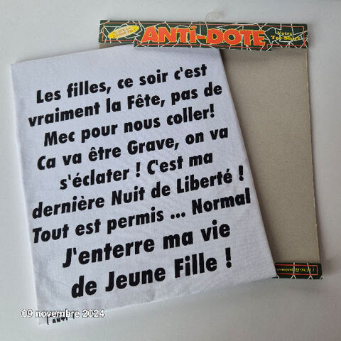 T-shirt pour enterrement de vie de fille 10 Saumur (49)