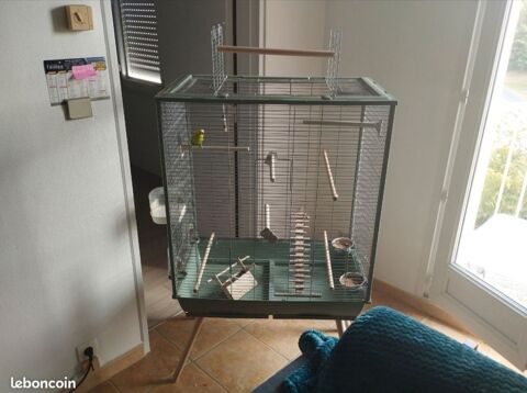 Cage &agrave; oiseaux 100 50000 Saint-lô