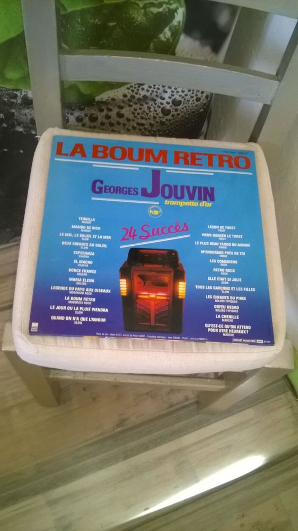 Vinyle Georges Jouvin
La Boum Retro - 24 Succ&egrave;s
1983
Exce CD et vinyles