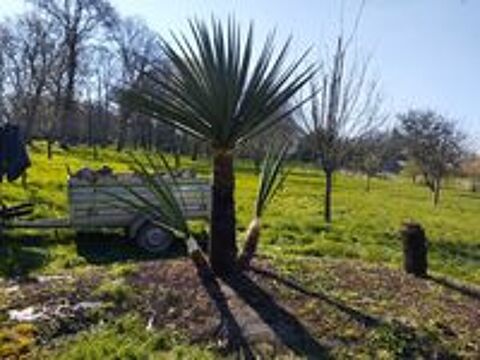   Entretien jardin et débroussaillage, petits bricolages  