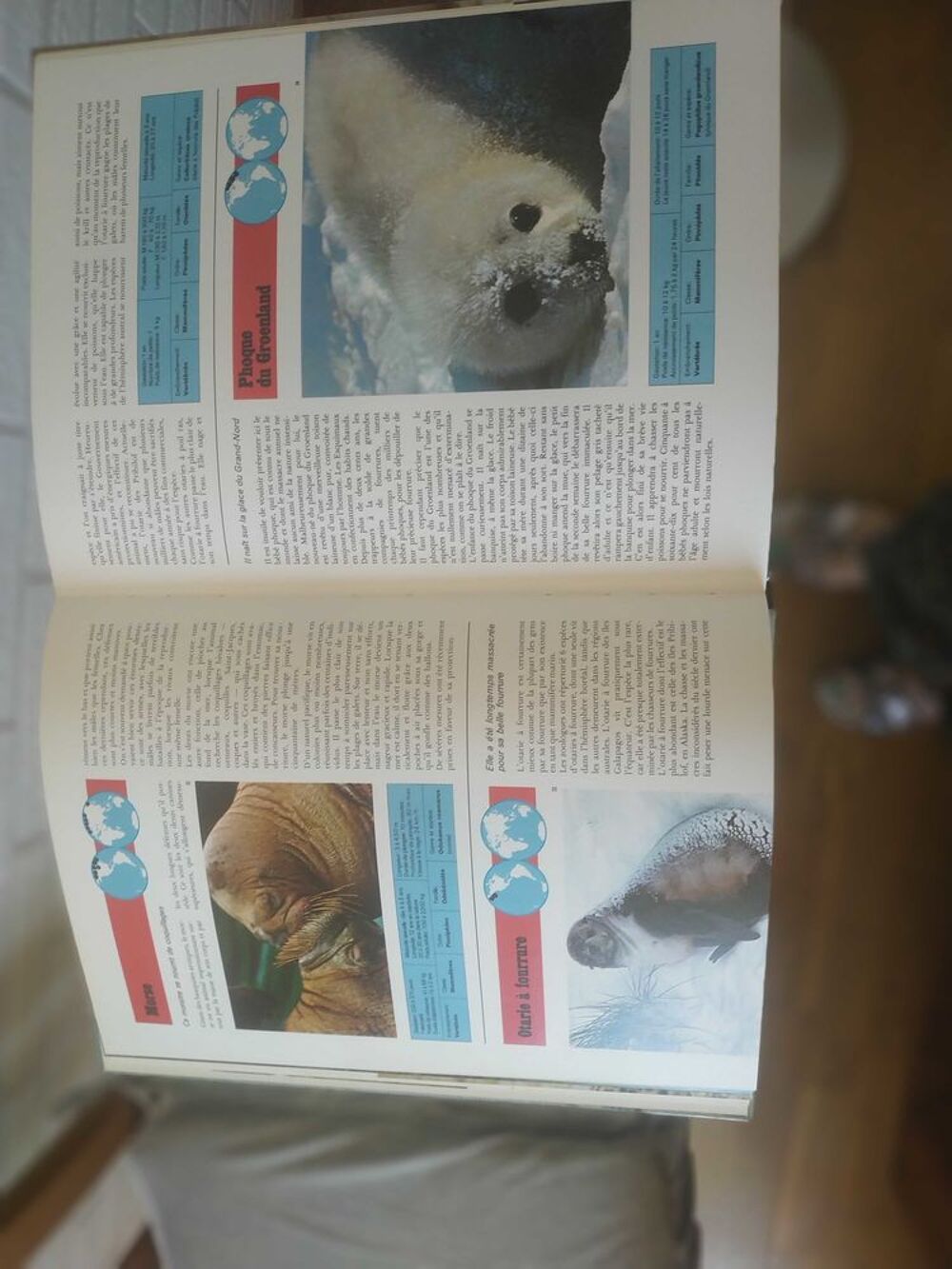 livre animalier Livres et BD