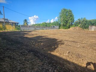  Terrain  vendre 1563 m