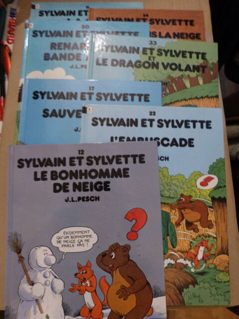 BD  SYLVAIN ET SYLVETTE  a choisir 1 Brest (29)