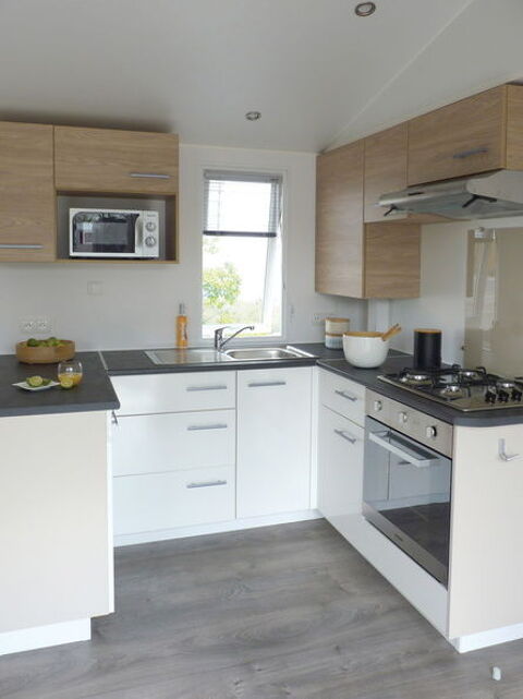 Annonce voiture Mobil-Home Mobil-Home 42484 
