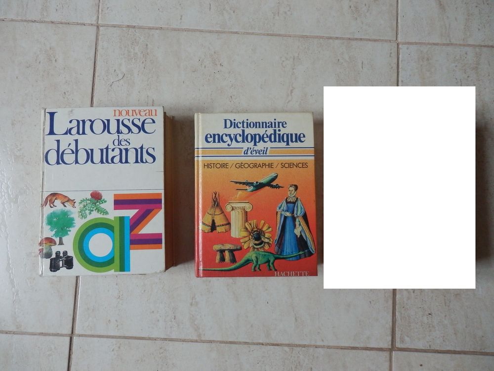 Dictionnaire &eacute;l&eacute;mentaire Livres et BD