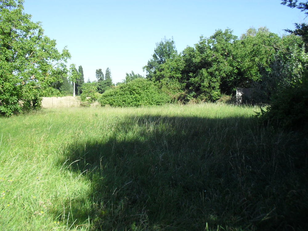 Vente Terrain Terrain constructible Montmeyran