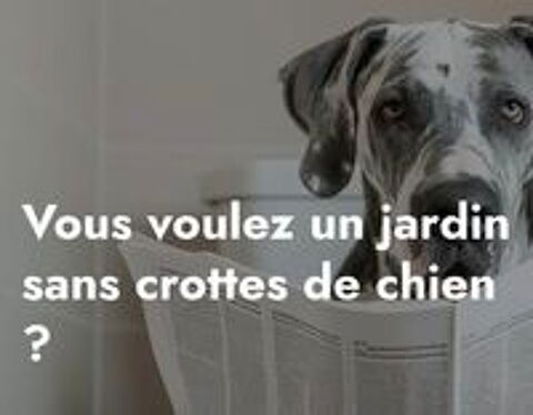   Ramassage déjections canines 
