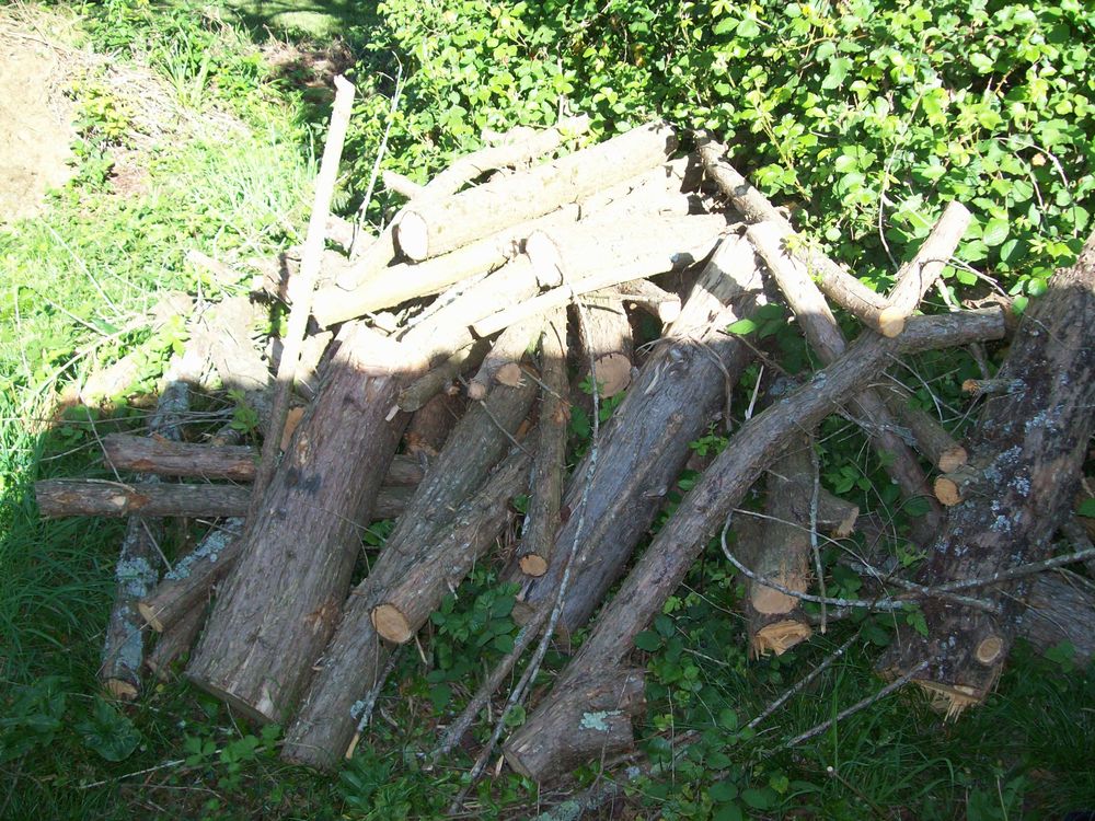 BOIS DE SAPIN POUR CHAUFFAGE Bricolage