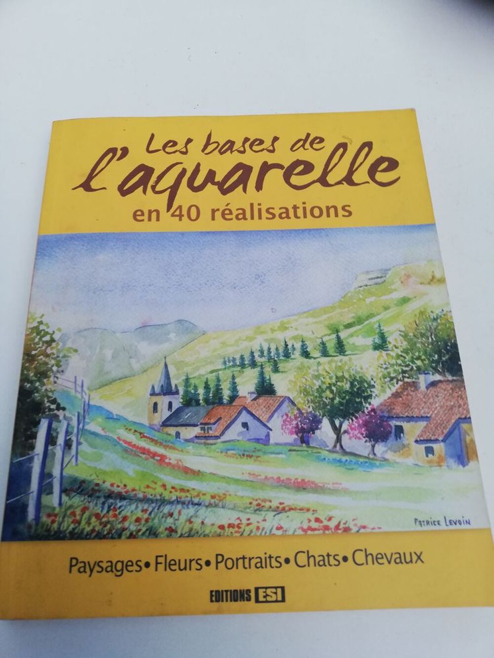 Peinture aquarelle en Godet
Décoration