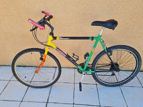 VTT Homme 5 Lognan (33)
