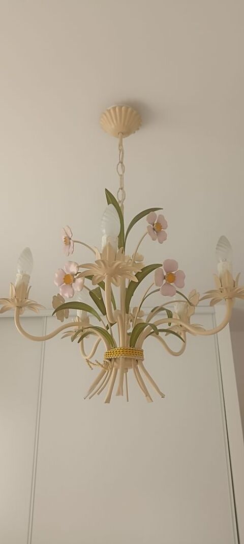 Lustre 5 branches 50 La Peyrade (34)