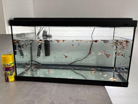 aquarium et poissons 150 78711 Mantes-la-ville