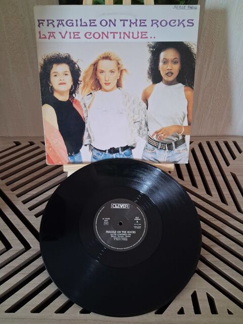 RARE MAXI SINGLE Fragile On The Rocks ?
La Vie Continue
15 Blanquefort (33)