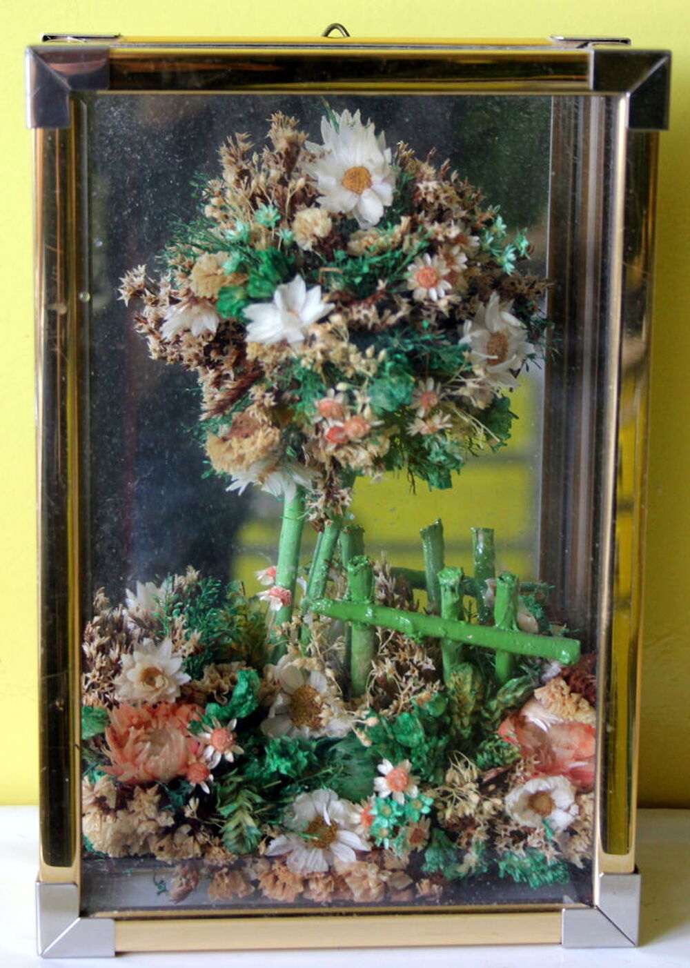 Mini vitrine &agrave; customiser cabinet de curiosit&eacute;s Décoration