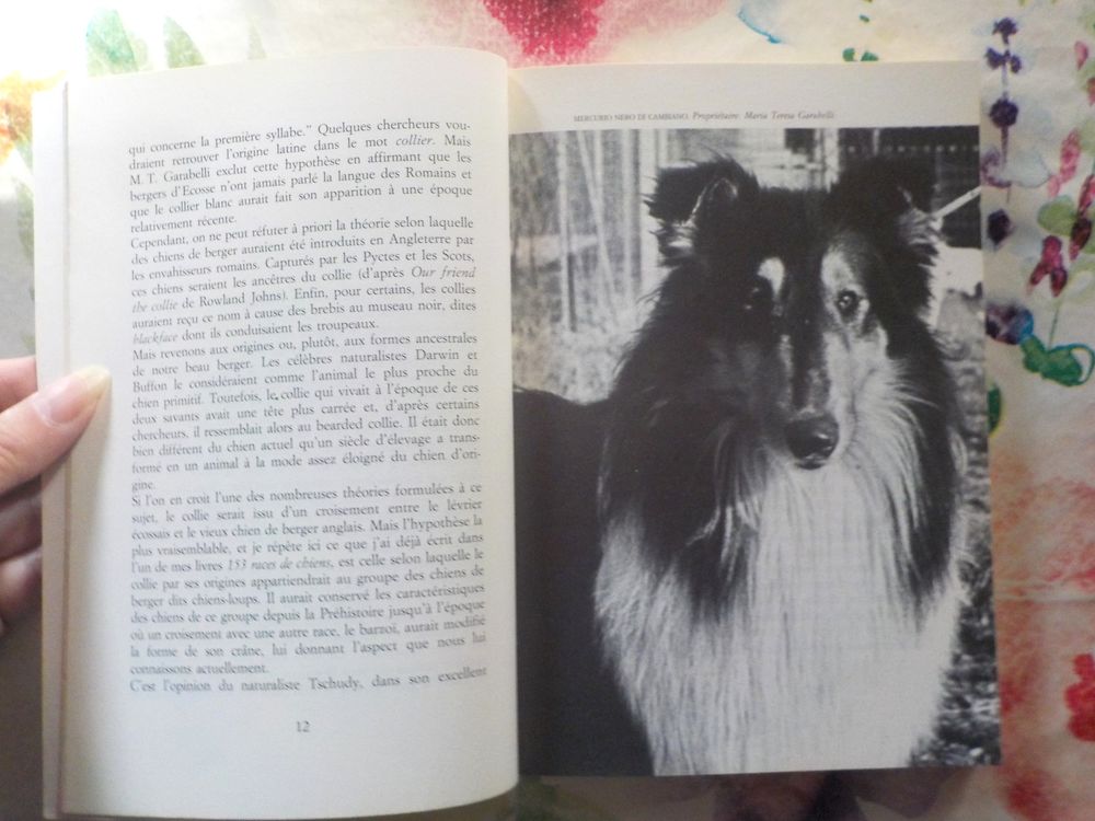 LE COLLIE LE BERGER D'ECOSSE ET LE CHIEN DE BERGER SHETLAND Livres et BD