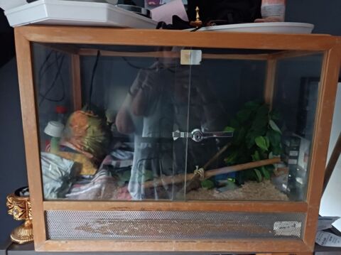 terrarium 80 Puteaux (92)