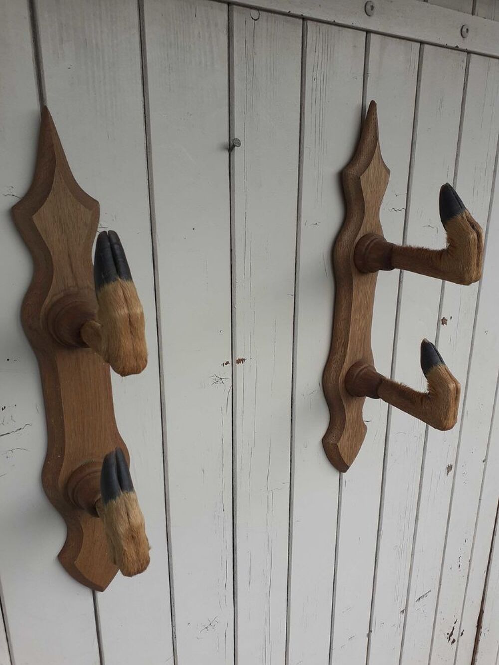 porte fusil p&agrave;&cent;tes de chevreuil Décoration