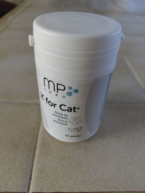 K for cat, potassium chat 8 94340 La varenne st hilaire