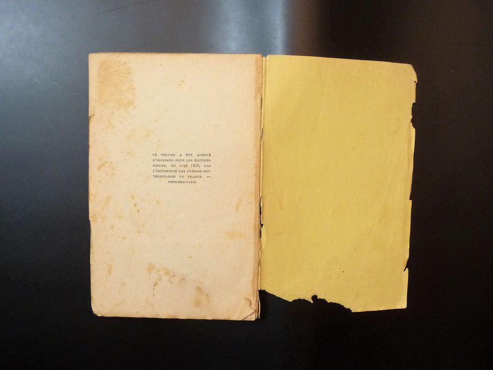 Dame de Lyon- Joseph Jolinon- 1932- Les Editions Rieder Livres et BD