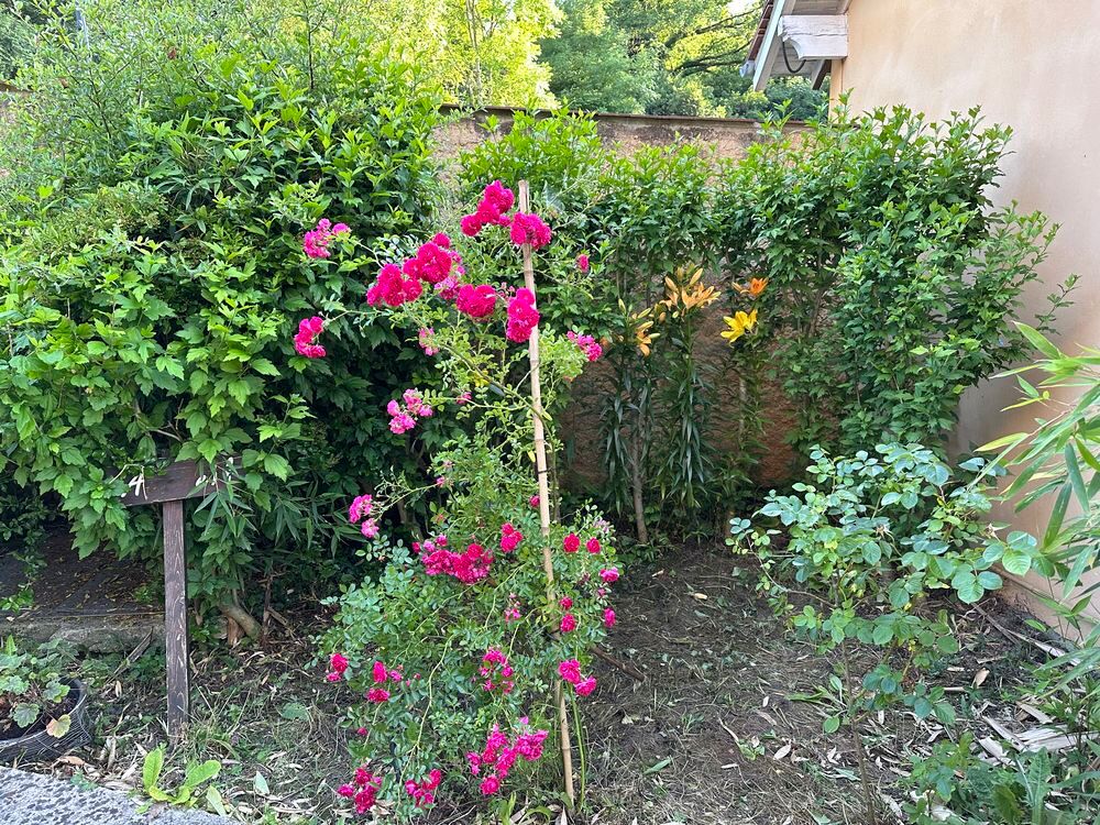 Location Appartement STUDIO, meublé à Saint-Lambert, des bois Saint-lambert
