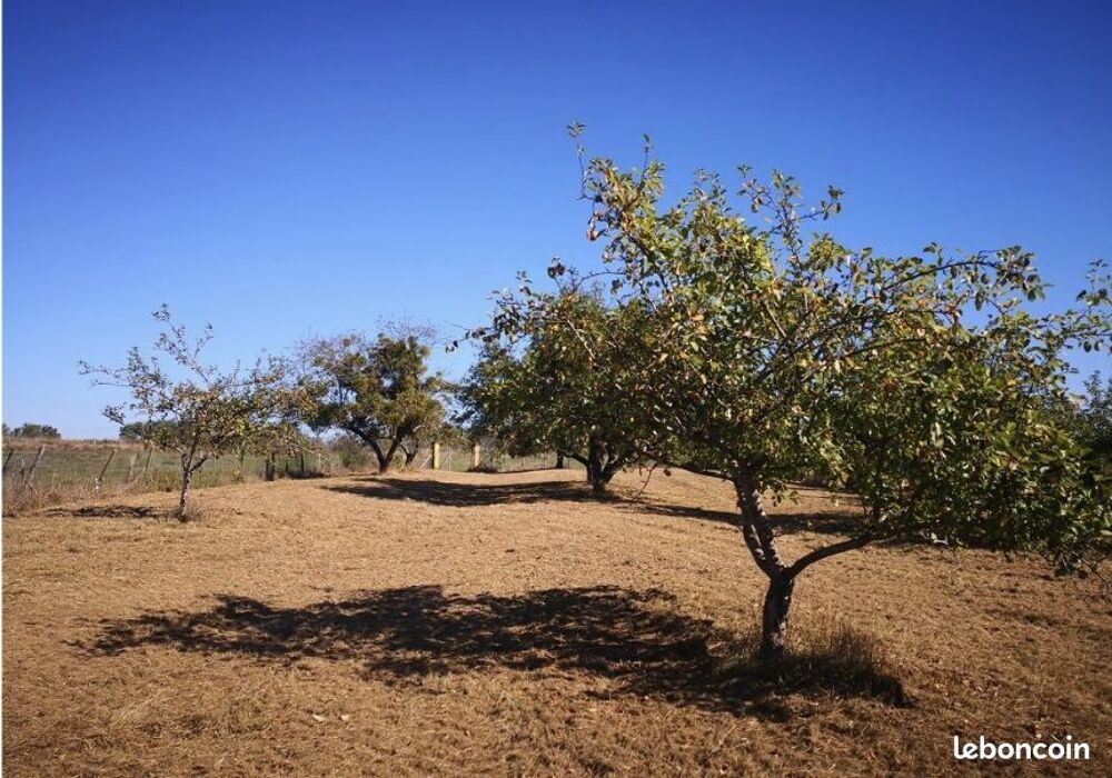 Vente Terrain verger de 4400m2 clôturé abri de jardin de 25m2 bio Amblans-et-velotte