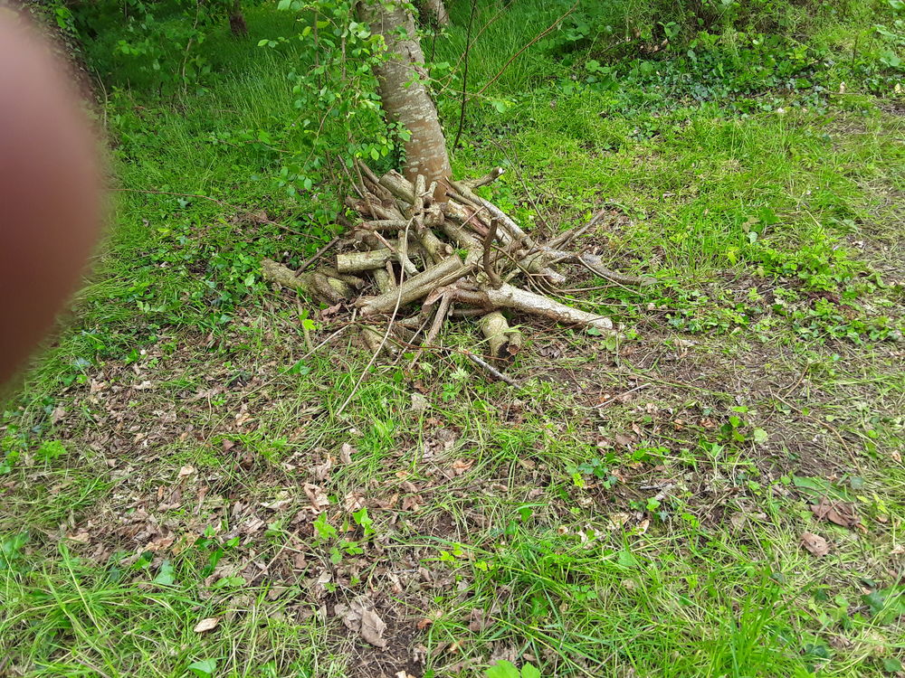 Don bois Jardin