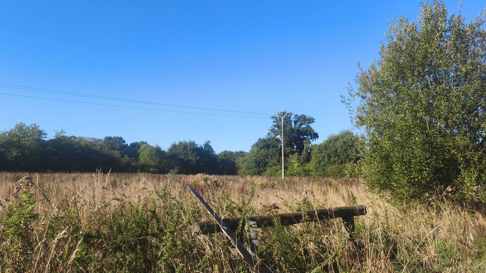 Vente Terrain Hangar + Terrain agricole 1hectare 8 Saint-clet
