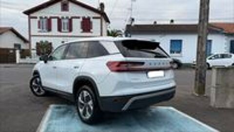Kodiaq SELECTION 2024 occasion 40100 Dax