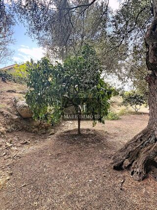  Appartement � vendre 3/4 pi�ces 86 m�