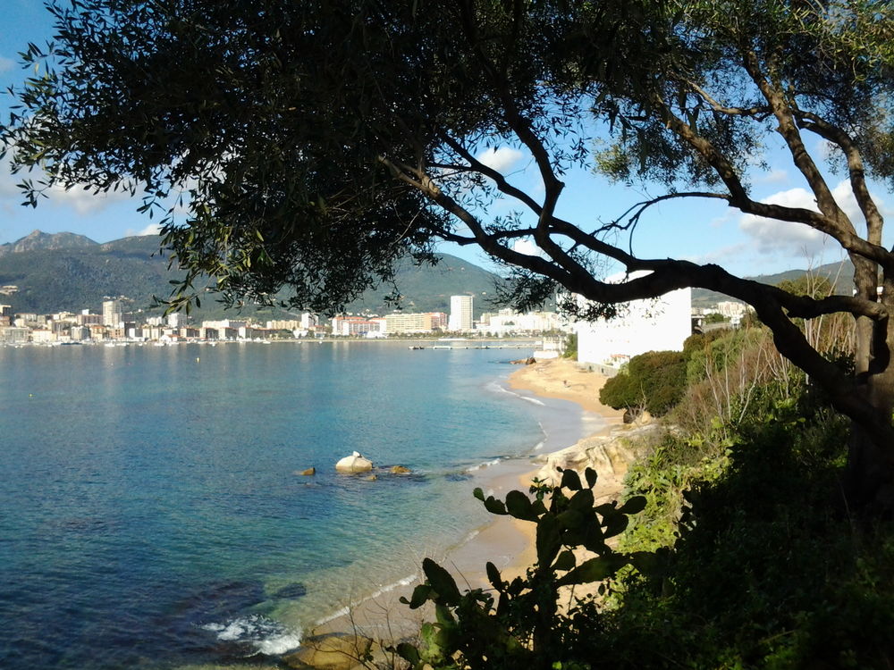   studio meublé LES PIEDS DANS L'EAU AJACCIO Corse, Ajaccio (20090)