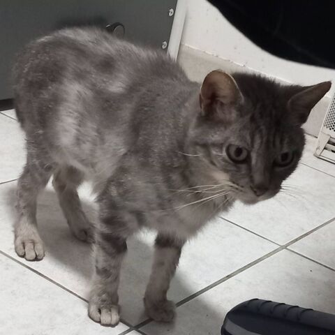 XENA 180 26760 Beaumont-l�s-valence