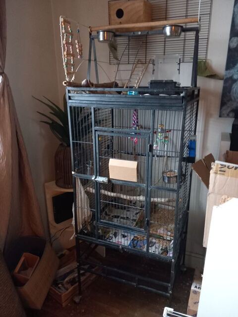 Cage perroquet 150 Brest (29)