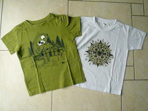 Lot de 2 tee-shirts gar�on 6 ans (n�28) 8 Franqueville-Saint-Pierre (76)