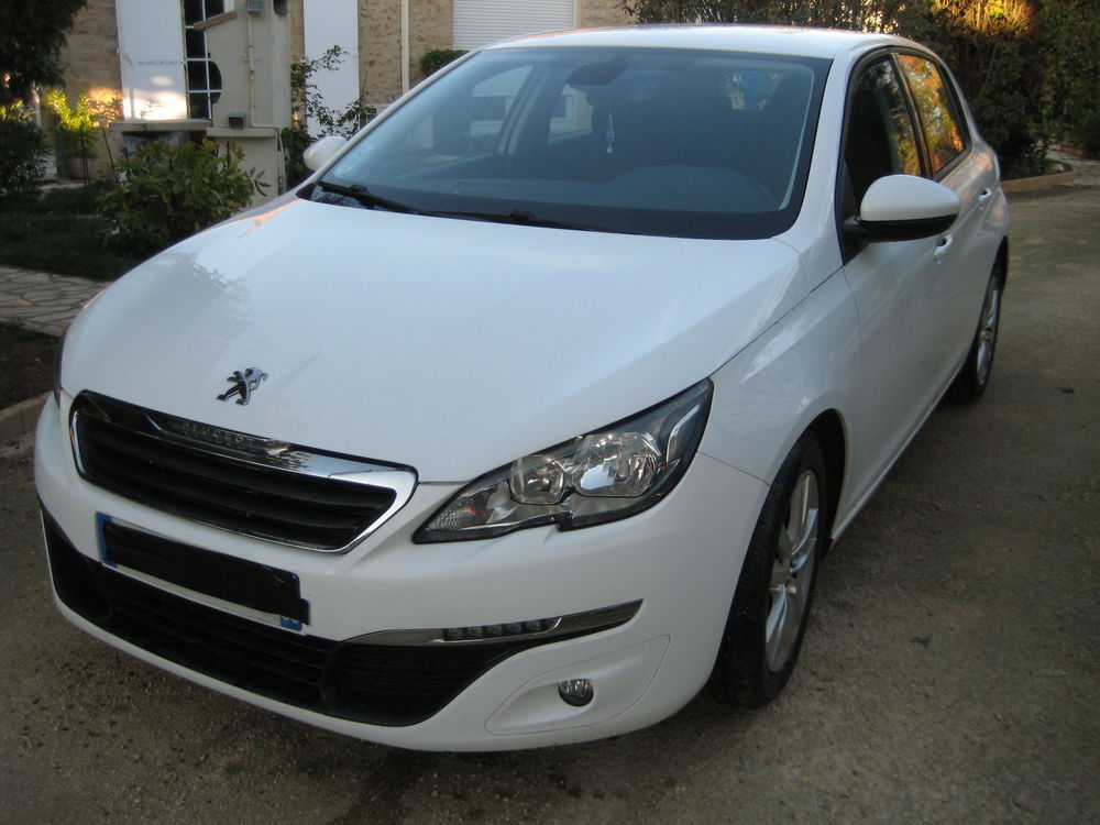 308 1.6 BlueHDi 120ch S&S BVM6 Business 2016 occasion 86700 Payr&eacute;