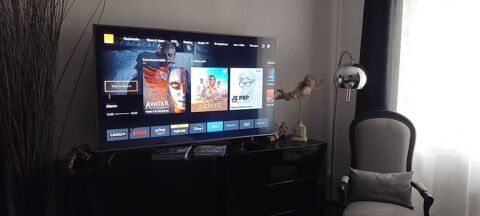télévision 165cm Montluçon (03)
