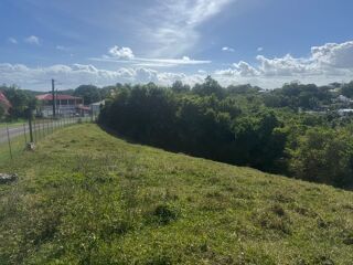  Terrain  vendre 1259 m