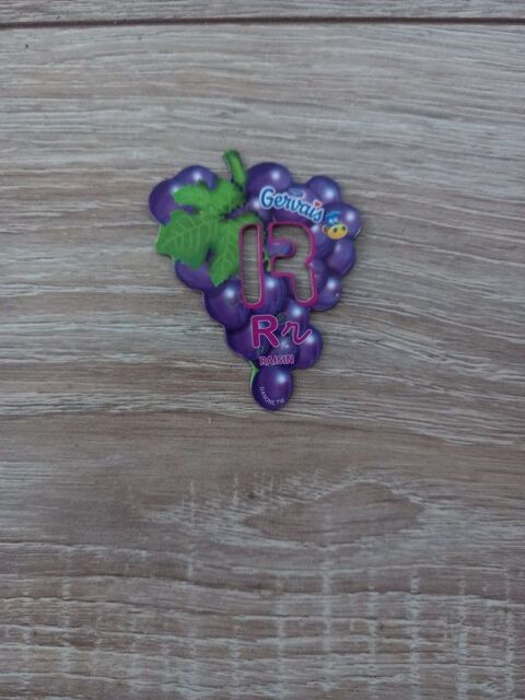 
MAGNET GERVAIS 2 Villiers (86)