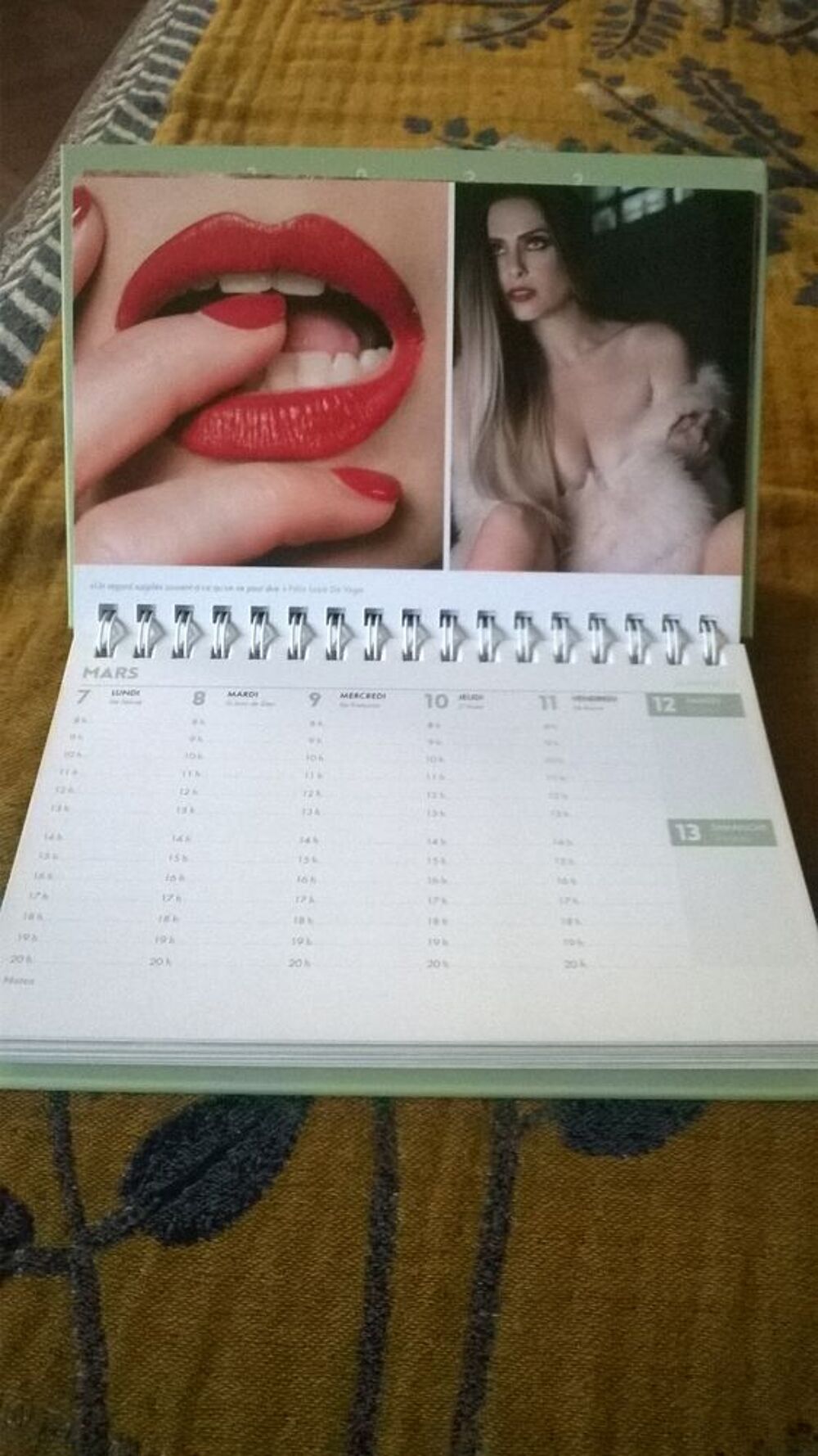 Agendas-calendriers Clara Morgane - 2017 &agrave; 2022 (au choix) 