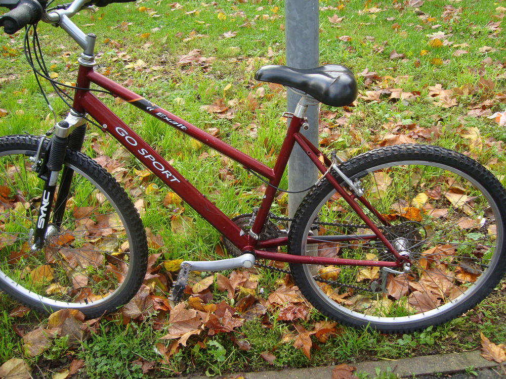 Vtt 26 pouces go sport 21 vitesses
Vélos