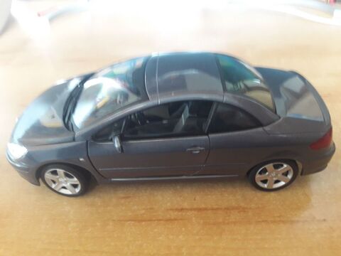 Peugeot 307 CC marque solido 1/18 20 Castel-Sarrazin (40)