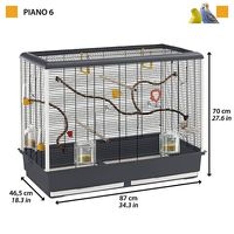   Cage oiseaux 