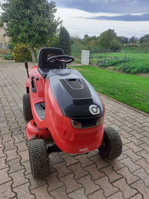 tondeuse auto porte de 2021 1600 Montbrison (42)
